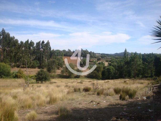 Terreno para Venda em Evora de Alcobaça Foto 9