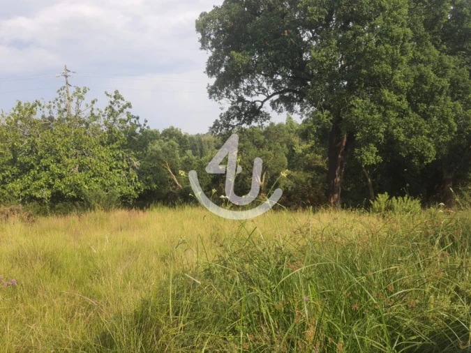 Terreno para Venda em Evora de Alcobaça Foto 2