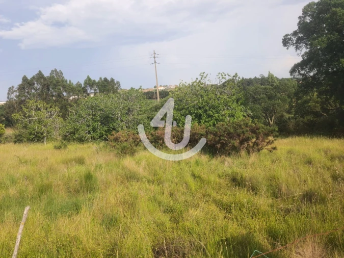 Terreno para Venda em Evora de Alcobaça