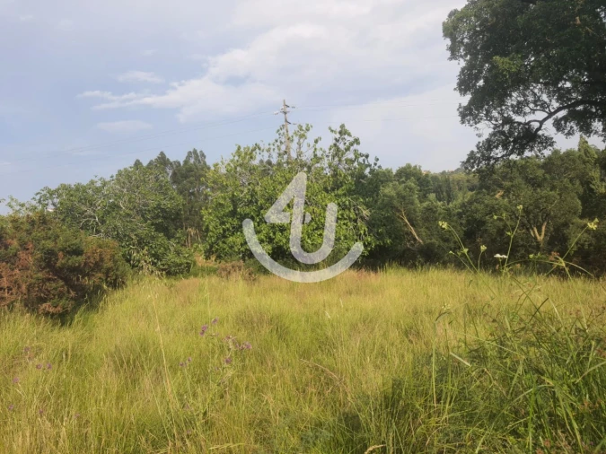 Terreno para Venda em Evora de Alcobaça Foto 4