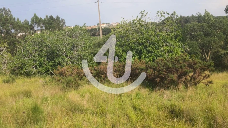 Terreno para Venda em Evora de Alcobaça