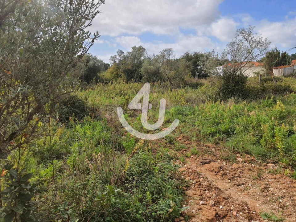 Terreno para Venda em Aljubarrota Foto 2