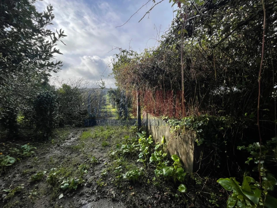 Terreno para Venda em Rates Foto 10