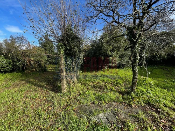 Terreno para Venda em Rates Foto 3