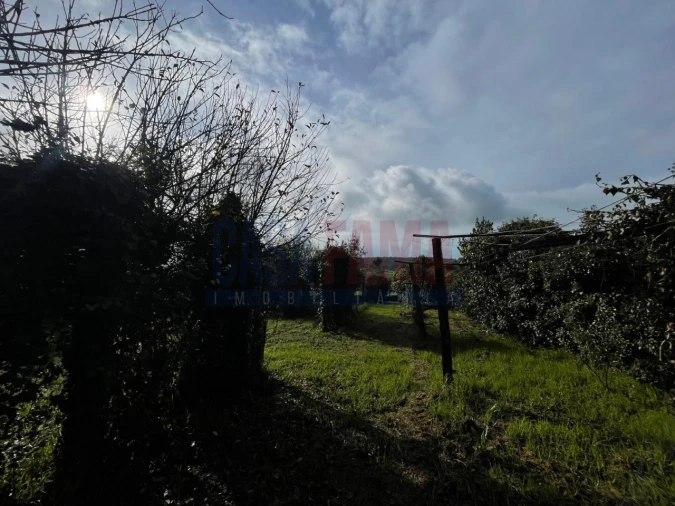 Terreno para Venda em Rates Foto 12