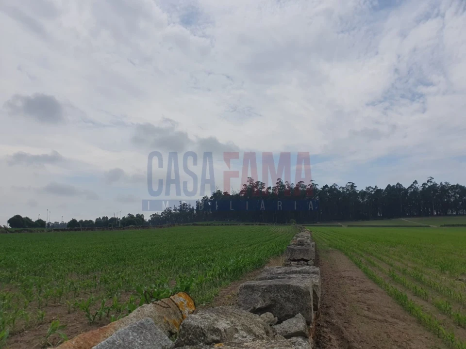 Terreno para Venda em Rio Mau e Arcos Foto 1