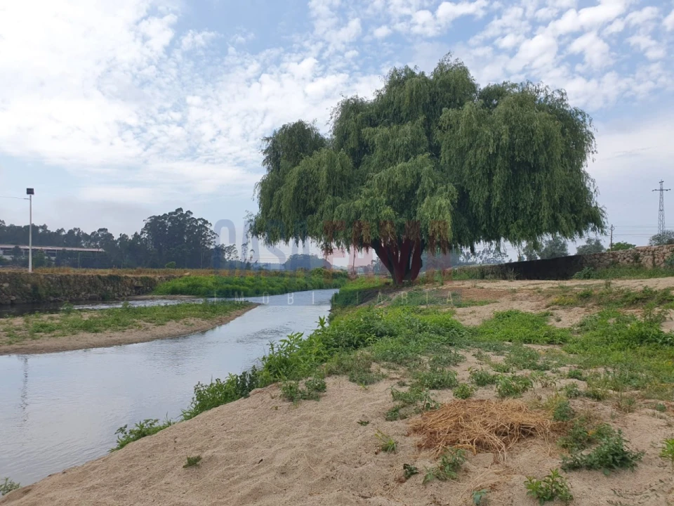 Terreno para Venda em Rio Mau e Arcos Foto 6