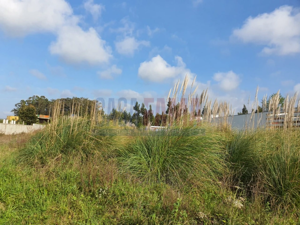 Terreno para Venda em Póvoa de Varzim, Beiriz e Argivai Foto 1