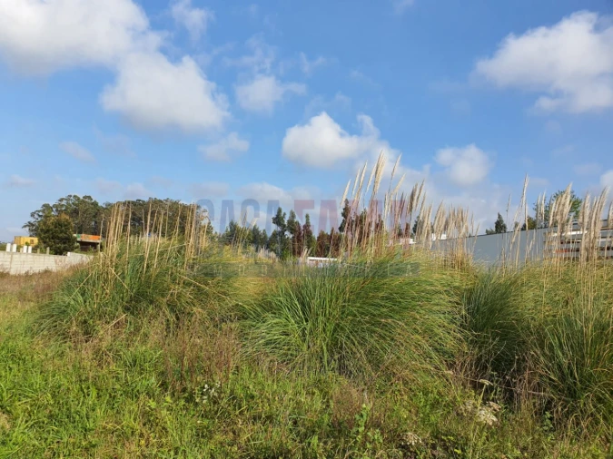 Terreno para Venda em Póvoa de Varzim, Beiriz e Argivai Foto 1