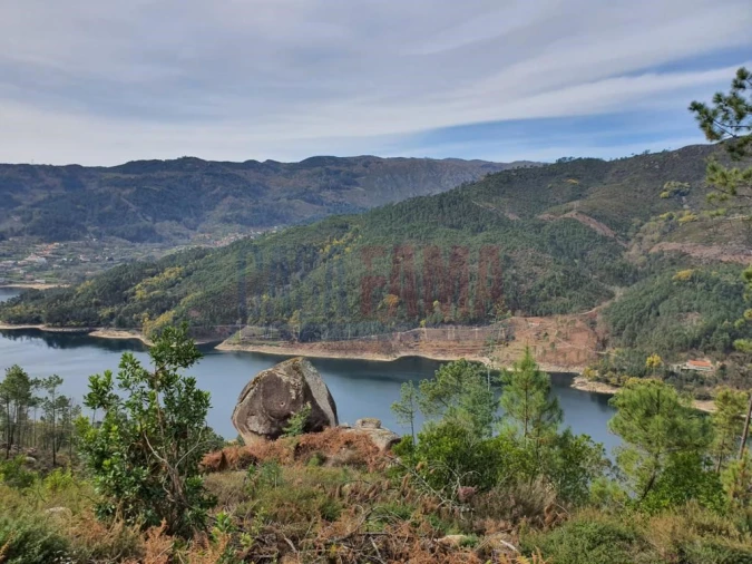 Terreno para Venda em Vilar da Veiga Foto 1