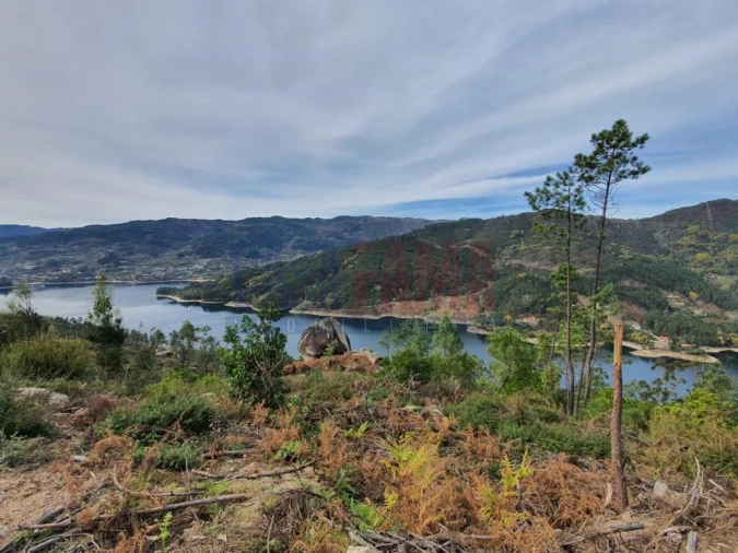 Terreno para Venda em Vilar da Veiga Foto 2