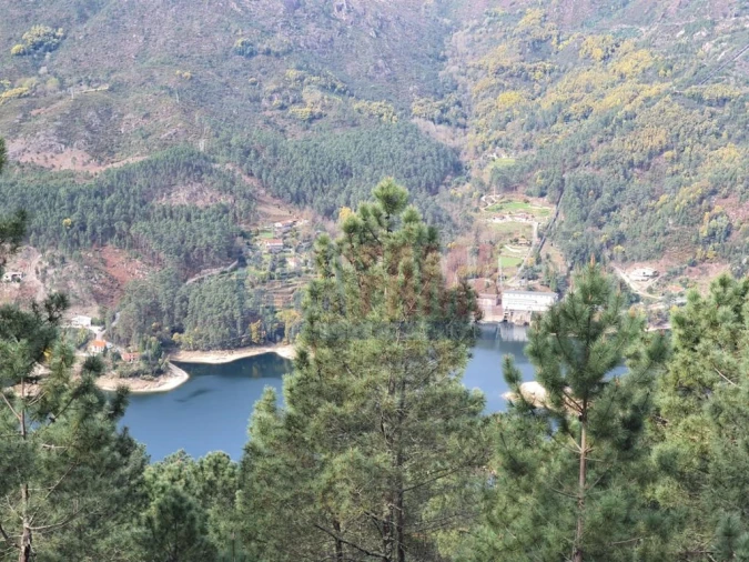 Terreno para Venda em Vilar da Veiga Foto 5