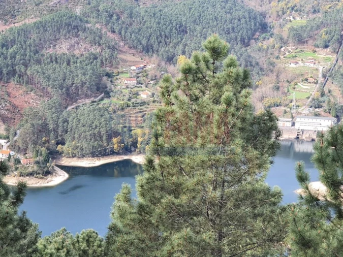 Terreno para Venda em Vilar da Veiga Foto 6