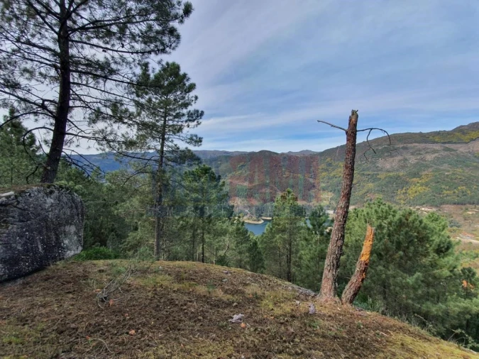 Terreno para Venda em Vilar da Veiga Foto 9