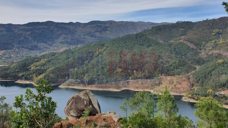 Terreno para Venda em Vilar da Veiga