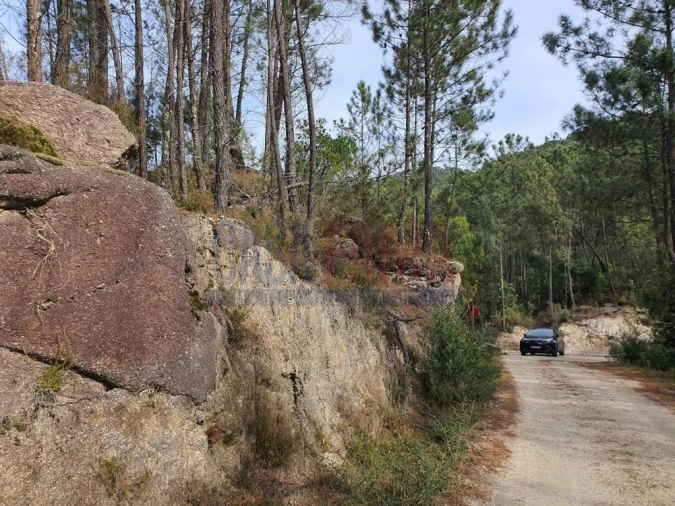 Terreno para Venda em Vilar da Veiga Foto 4