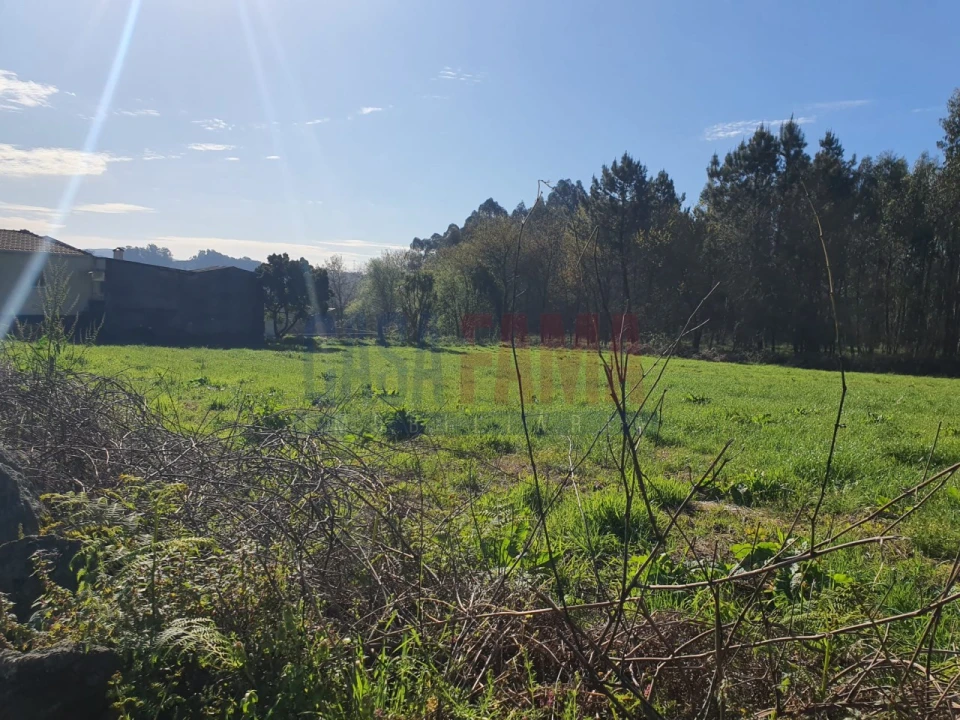 Terreno para Venda em Carreira e Refojos de Riba de Ave Foto 1