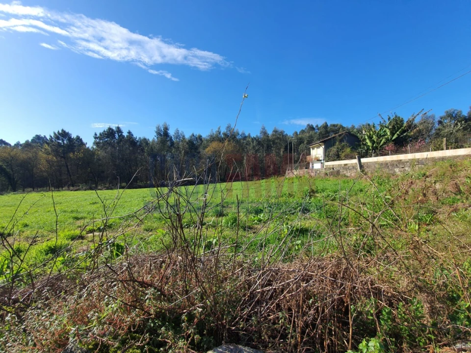 Terreno para Venda em Carreira e Refojos de Riba de Ave Foto 7