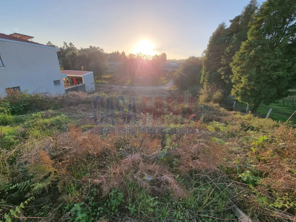 Terreno para Venda em Lama Foto 2