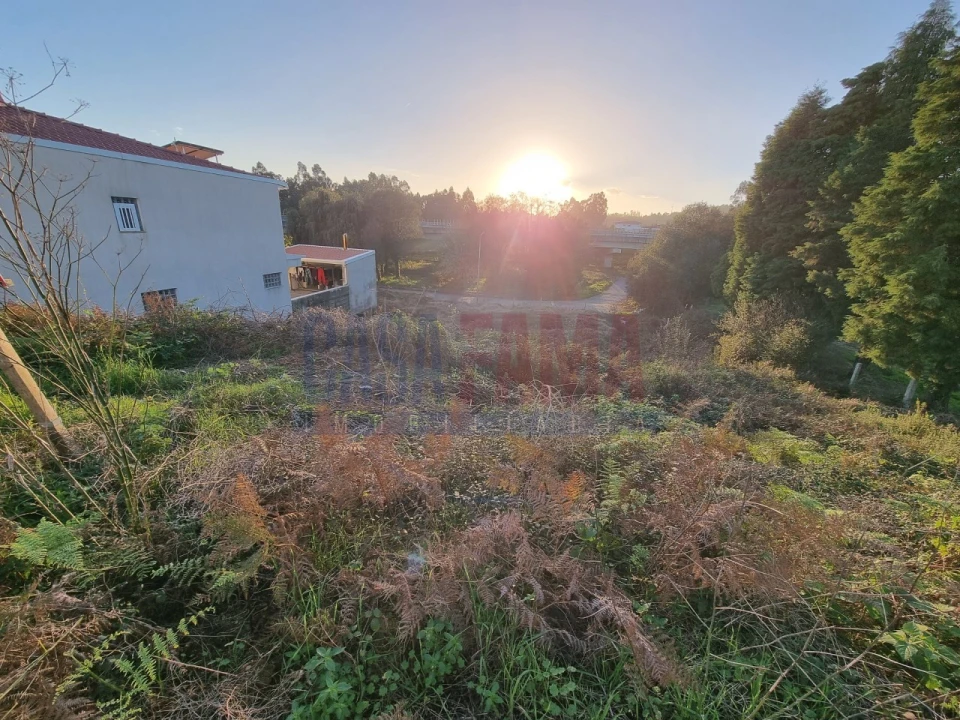 Terreno para Venda em Lama Foto 4