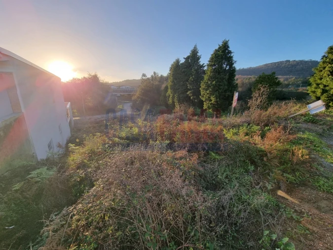 Terreno para Venda em Lama Foto 5