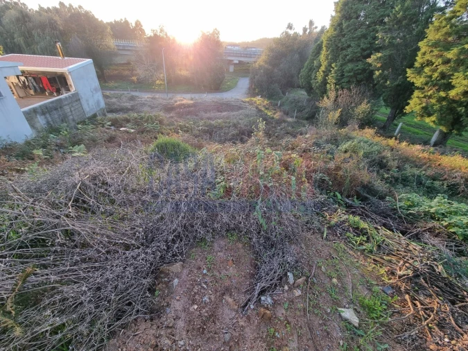 Terreno para Venda em Lama Foto 7