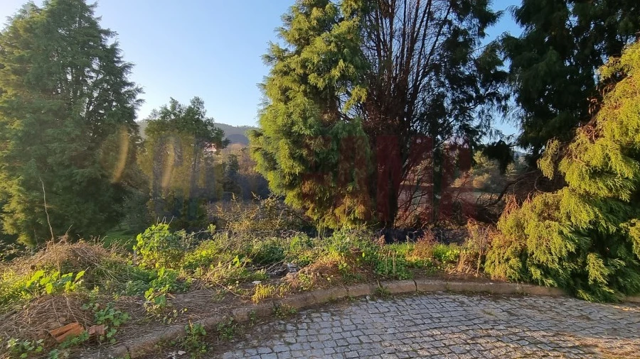 Terreno para Venda em Lama