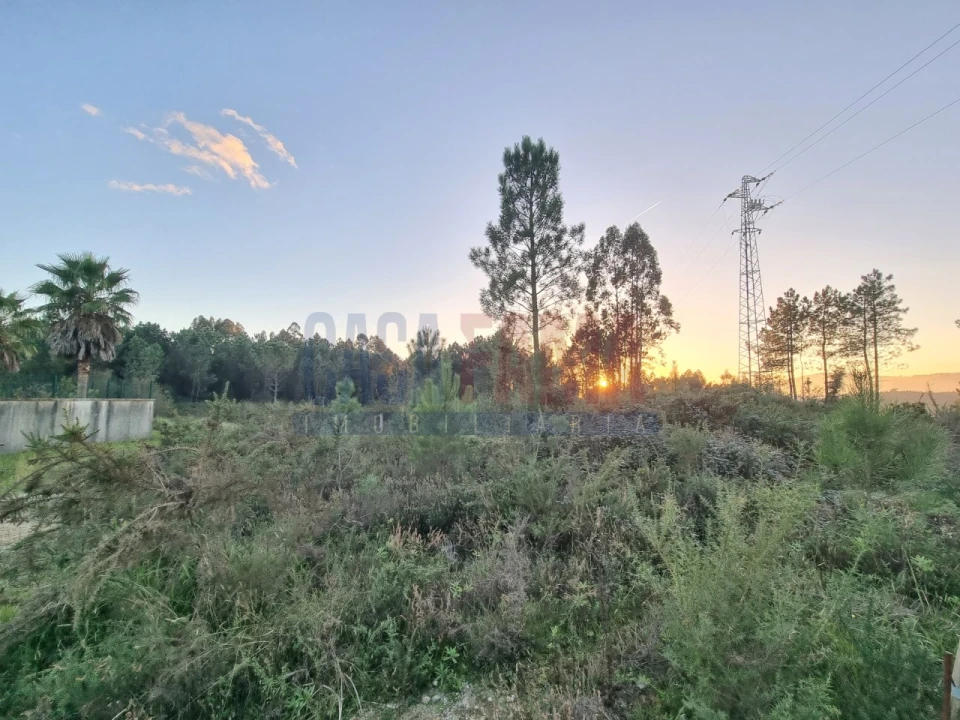 Terreno para Venda em Ucha Foto 1