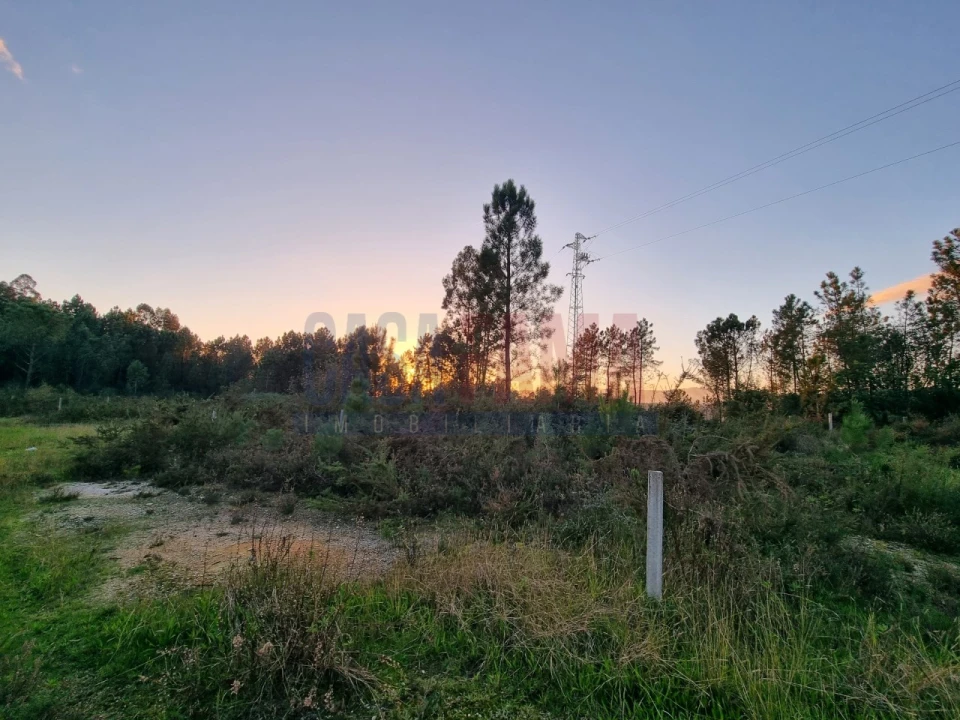 Terreno para Venda em Ucha Foto 6