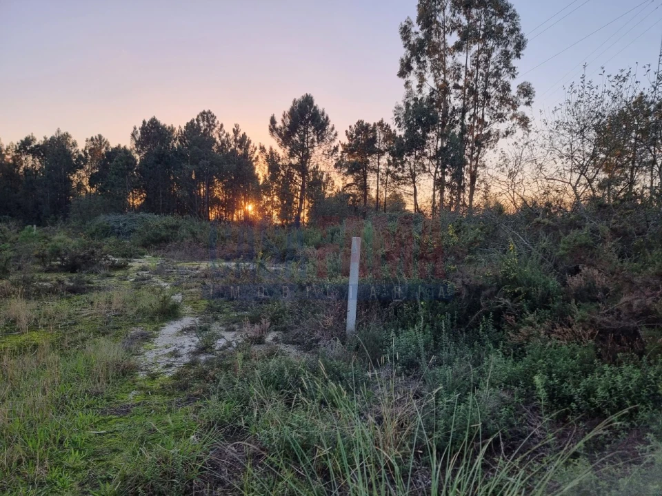 Terreno para Venda em Ucha Foto 7