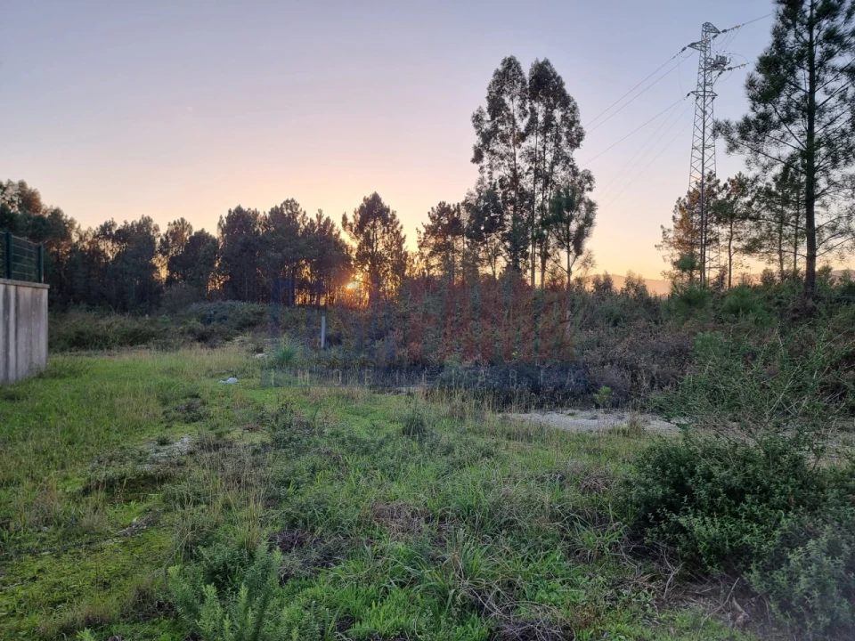Terreno para Venda em Ucha Foto 10
