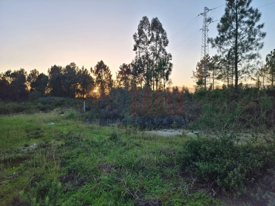 Terreno para Venda em Ucha Foto 11