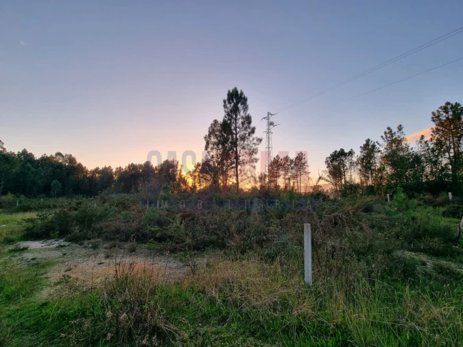 Terreno para Venda em Ucha Foto 5