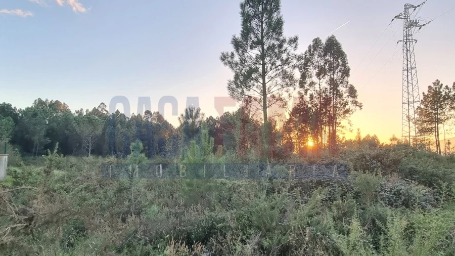Terreno para Venda em Ucha