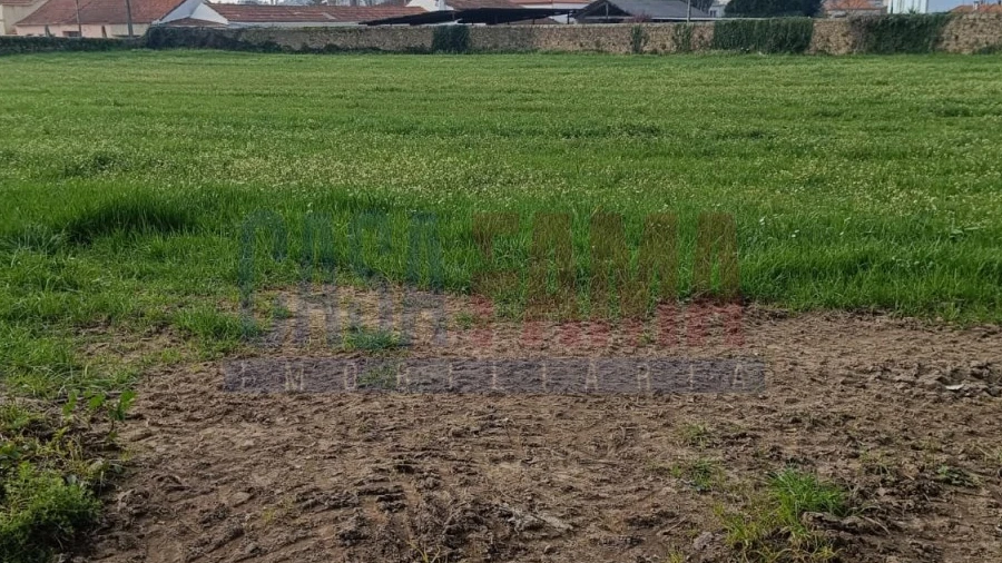 Terreno para Venda em Touguinha e Touguinhó