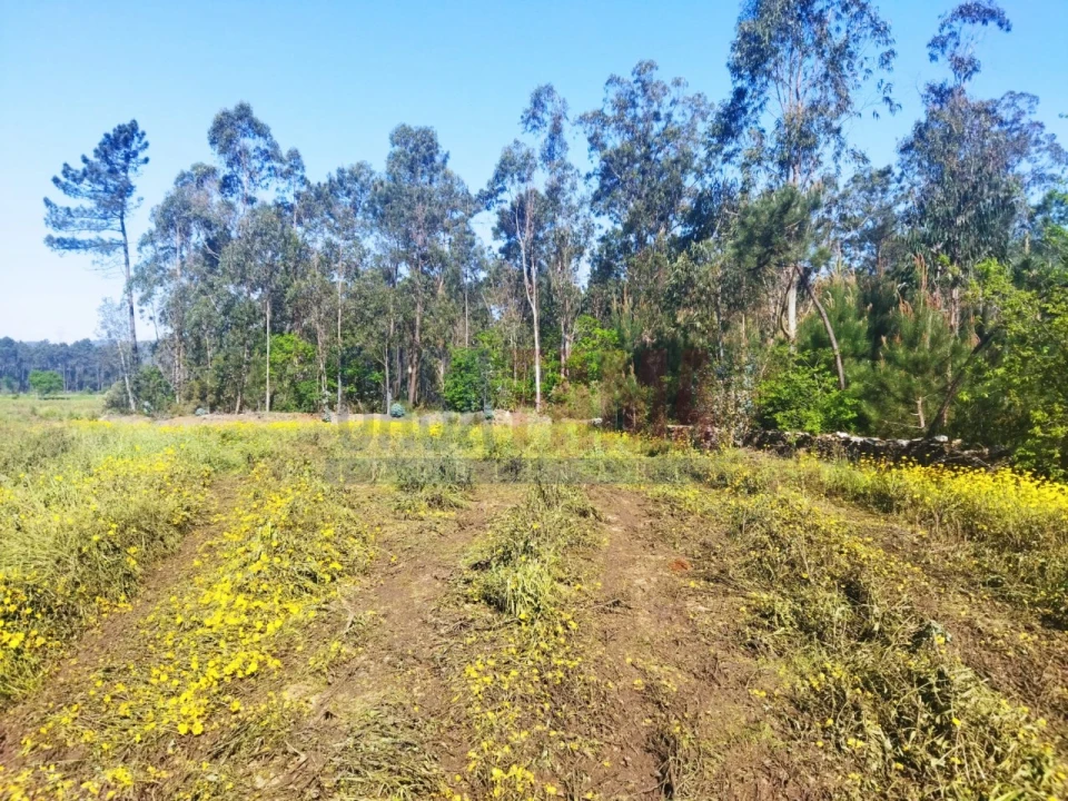 Terreno para Venda em Fradelos Foto 4