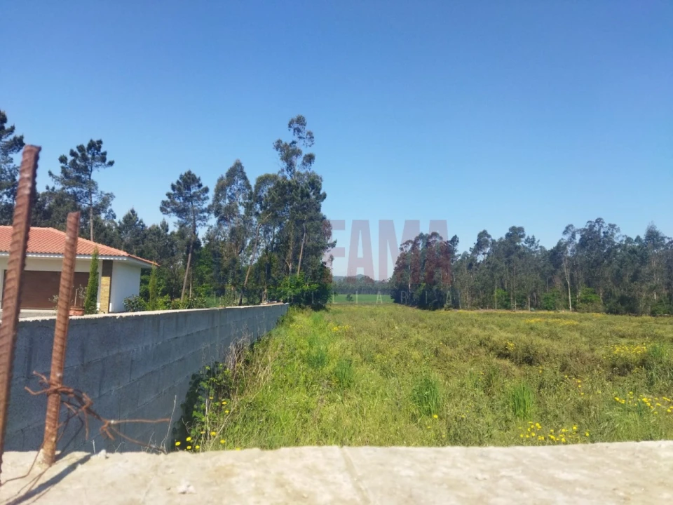 Terreno para Venda em Fradelos Foto 8