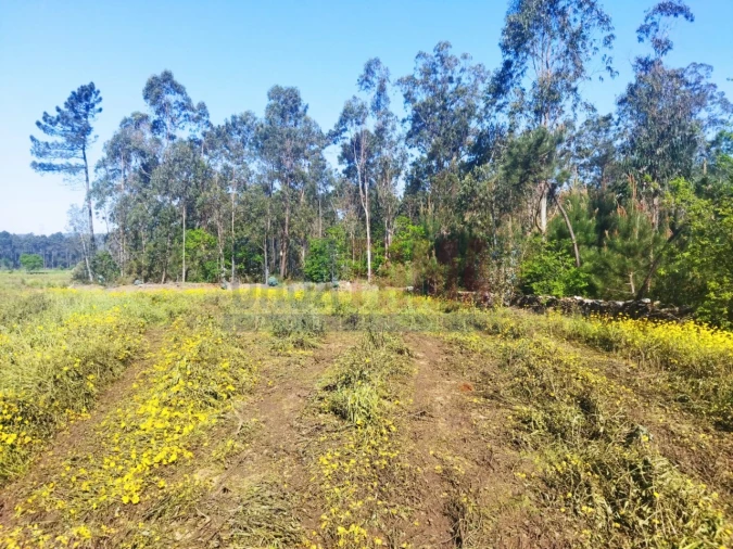 Terreno para Venda em Fradelos Foto 4