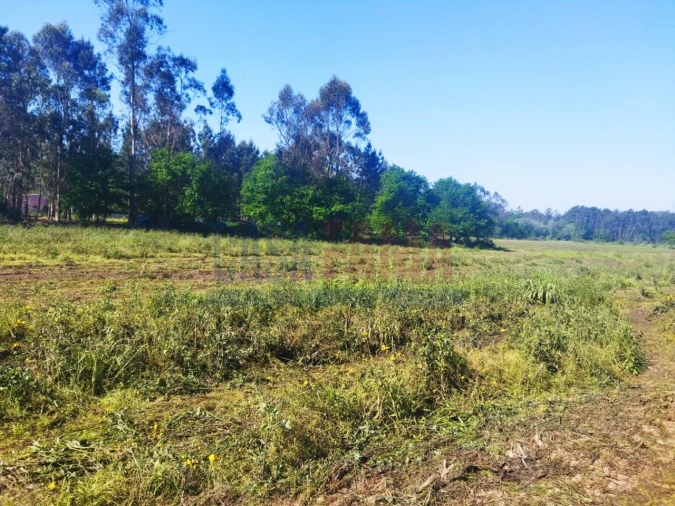 Terreno para Venda em Fradelos Foto 5