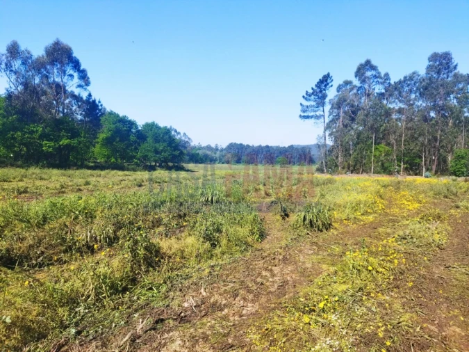 Terreno para Venda em Fradelos Foto 6