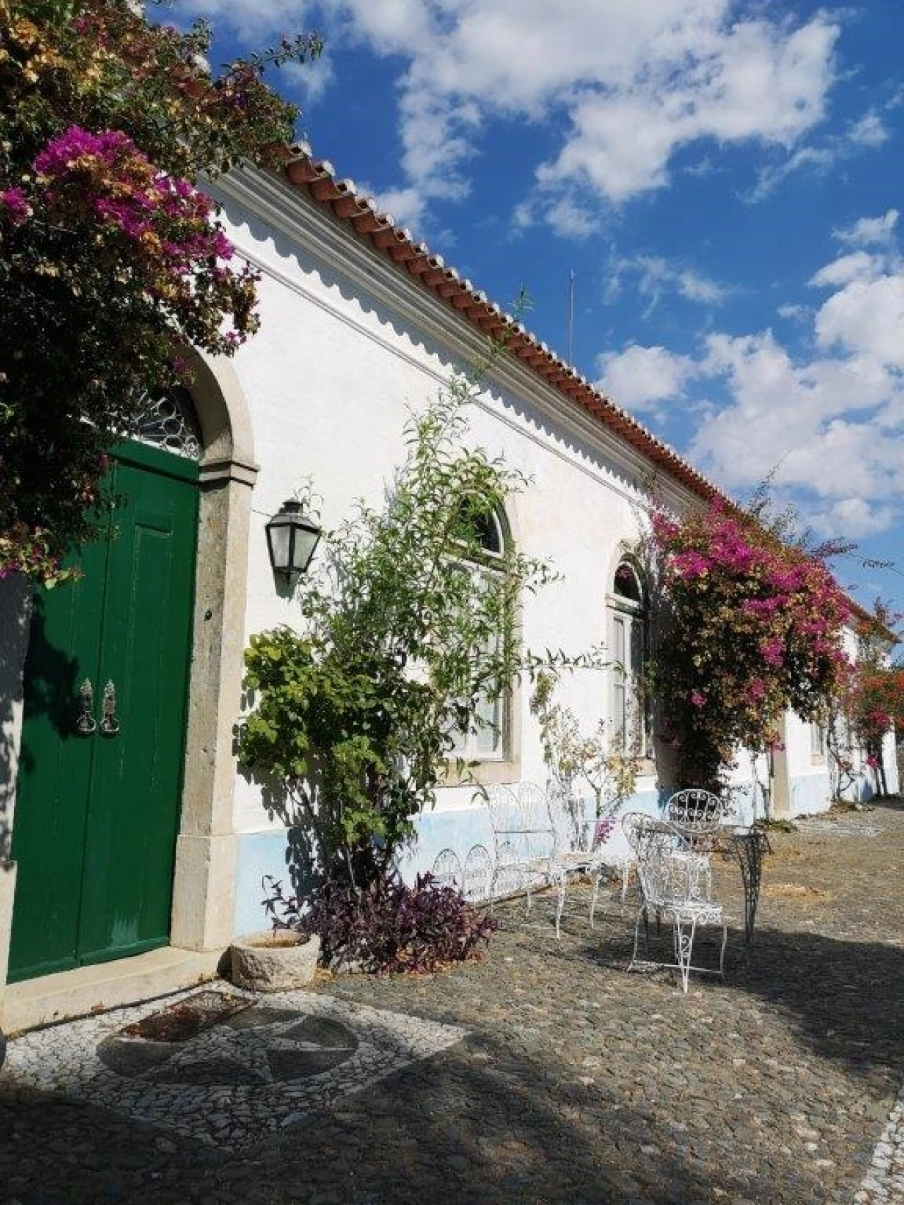 Terreno para Venda em Beja (Santiago Maior e São João Baptista) Foto 20