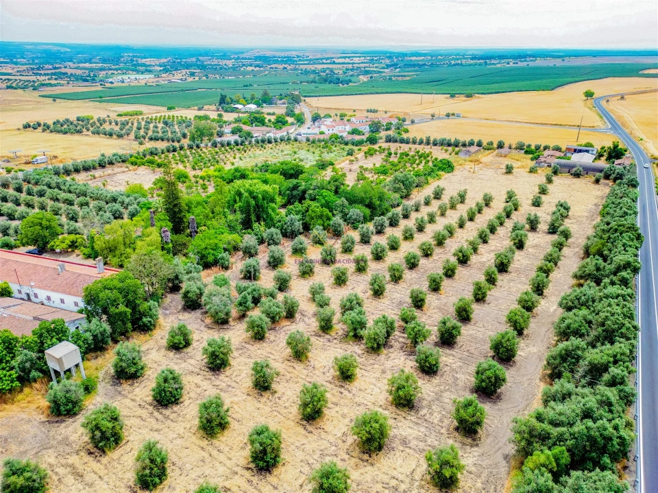 Terreno para Venda em Beja (Santiago Maior e São João Baptista) Foto 8