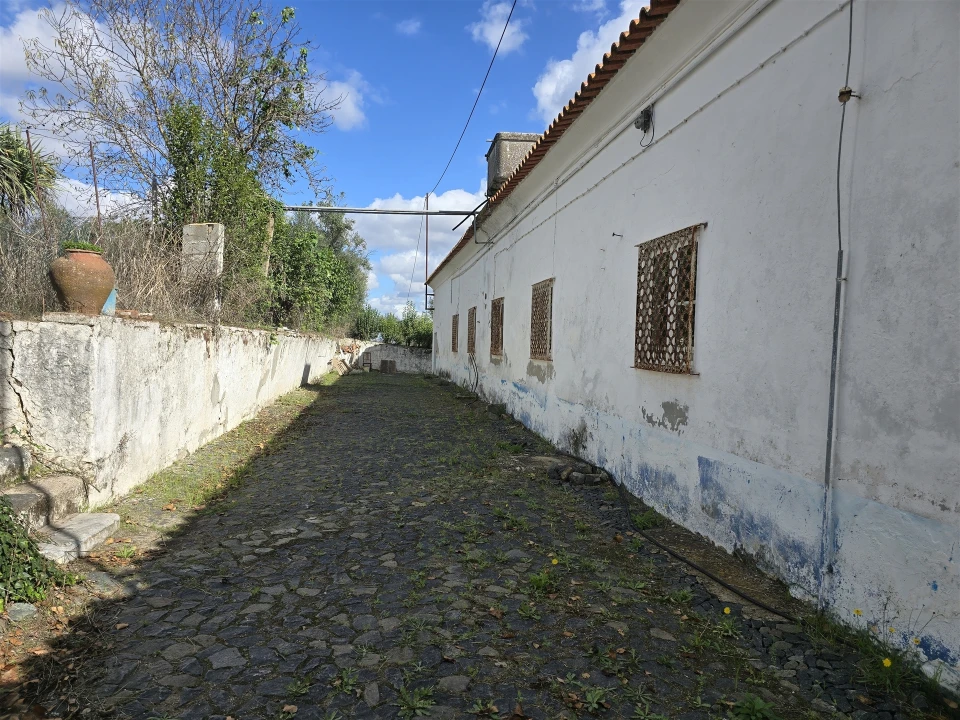 Terreno para Venda em Beja (Santiago Maior e São João Baptista) Foto 56