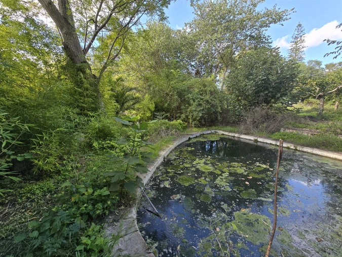 Terreno para Venda em Beja (Santiago Maior e São João Baptista) Foto 44