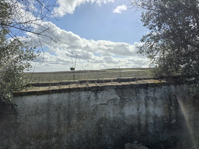 Terreno para Venda em Beja (Santiago Maior e São João Baptista) Foto 39