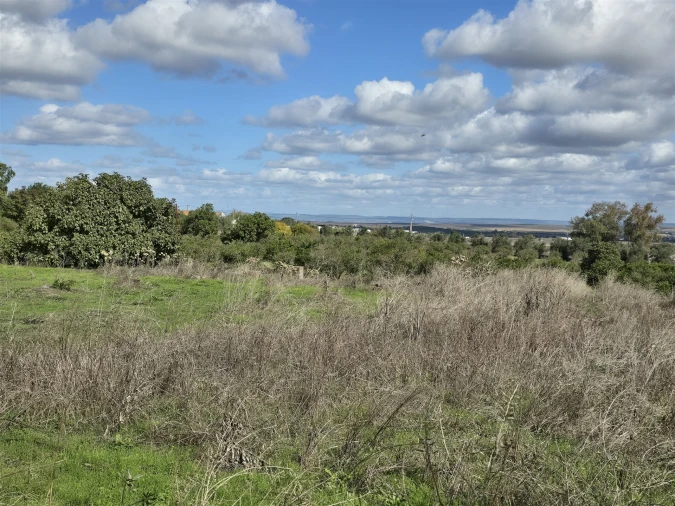Terreno para Venda em Beja (Santiago Maior e São João Baptista) Foto 33