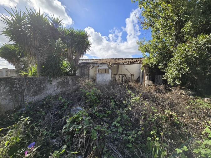 Terreno para Venda em Beja (Santiago Maior e São João Baptista) Foto 30