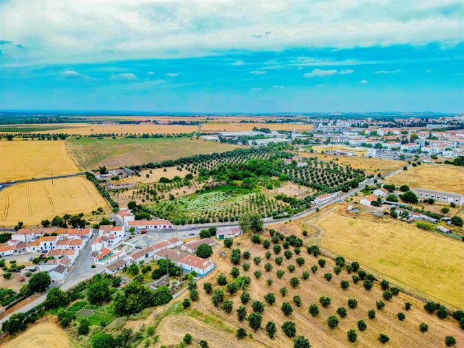 Terreno para Venda em Beja (Santiago Maior e São João Baptista) Foto 11