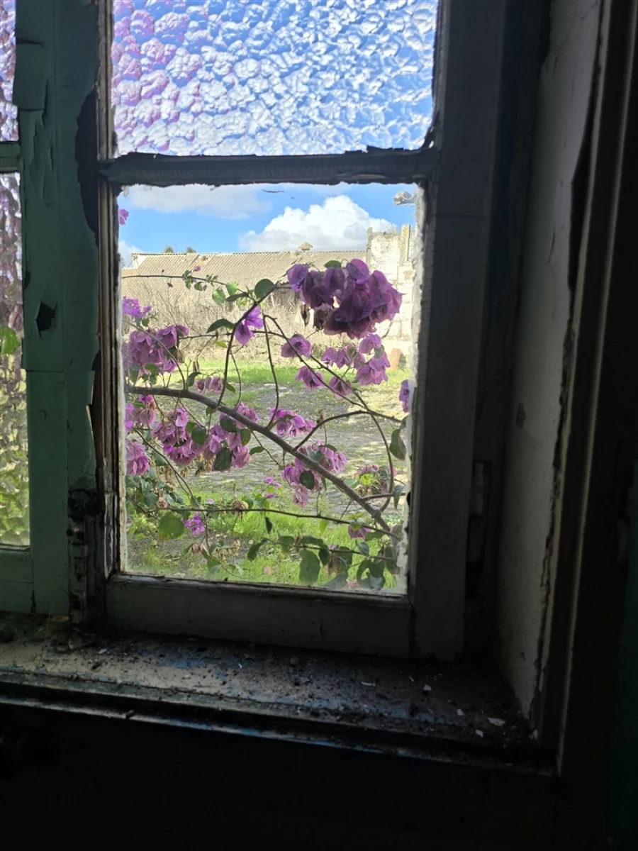 Terreno para Venda em Beja (Santiago Maior e São João Baptista) Foto 58