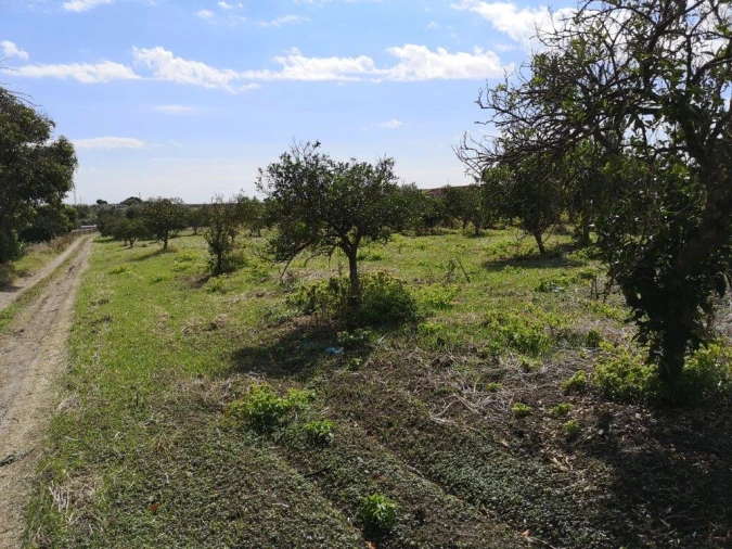 Terreno para Venda em Beja (Santiago Maior e São João Baptista) Foto 103